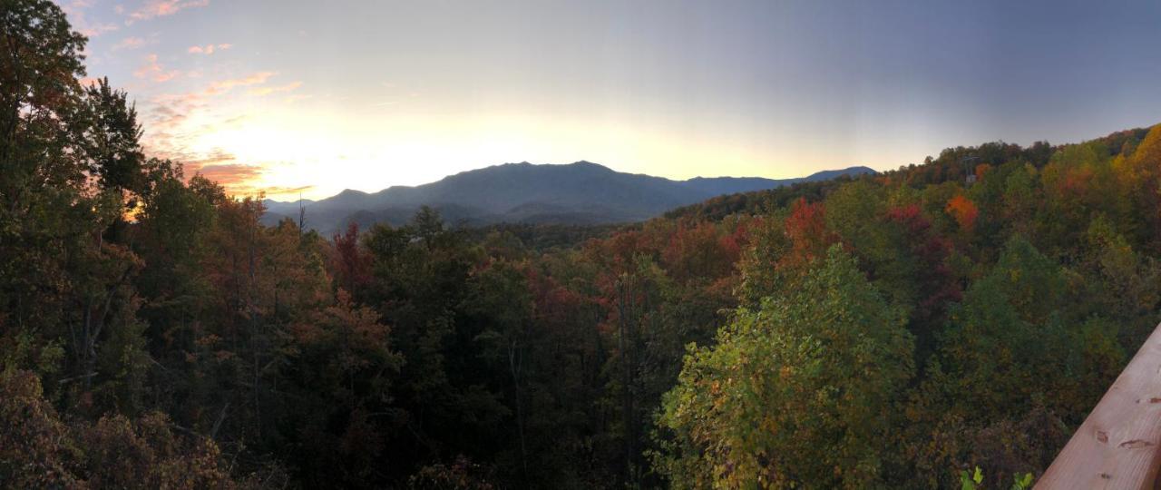 Heavenly View - Bear Themed Cabin, Hottub, Dog-Friendly, Near 蓋特林堡 外观 照片