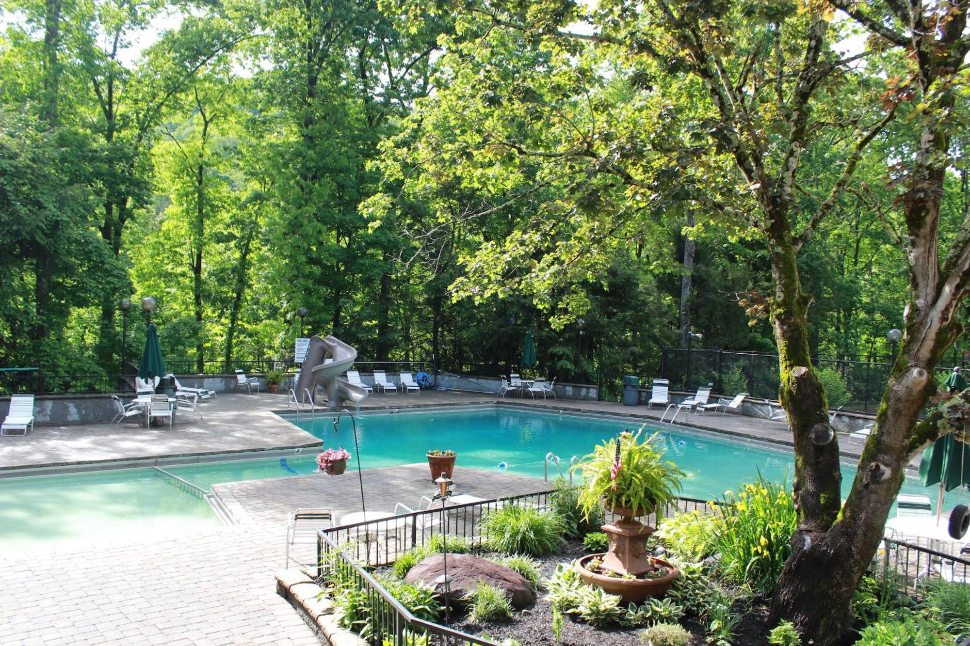 Heavenly View - Bear Themed Cabin, Hottub, Dog-Friendly, Near 蓋特林堡 外观 照片