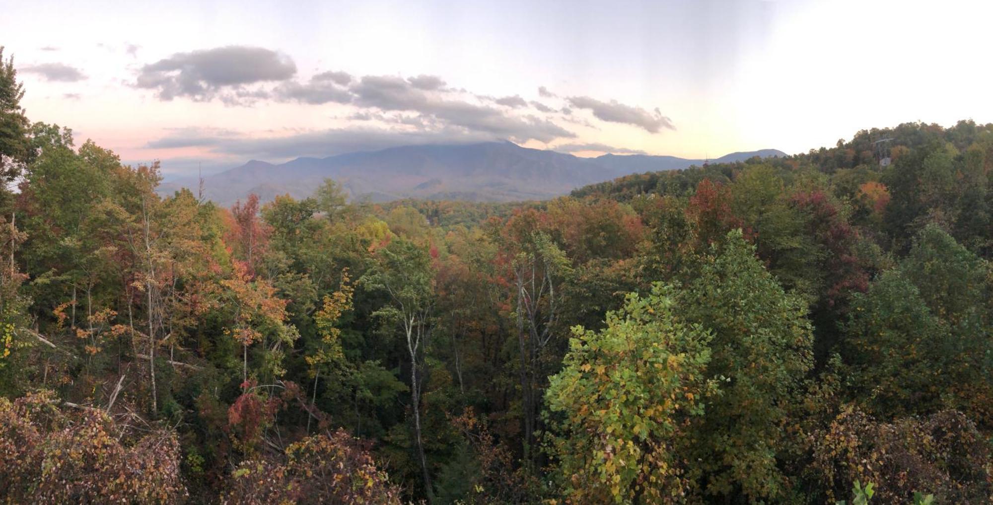Heavenly View - Bear Themed Cabin, Hottub, Dog-Friendly, Near 蓋特林堡 外观 照片